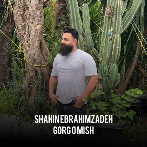 دانلود آهنگ گرگ و میش شاهین ابراهیم زاده