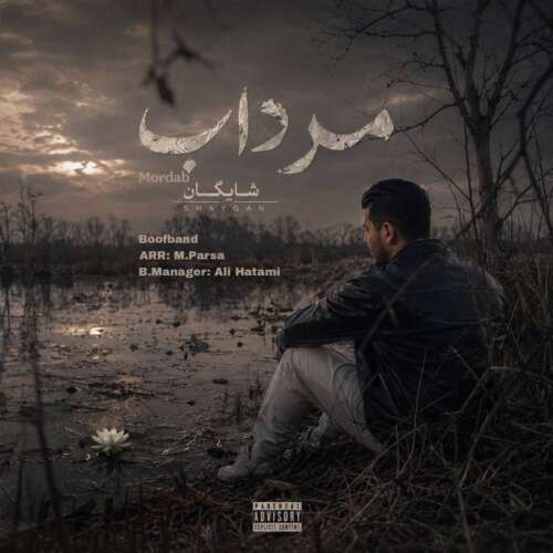 دانلود آهنگ مرداب شایگان