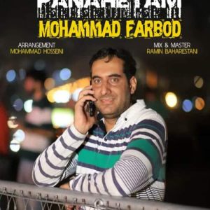 دانلود آهنگ پناهتم محمد فربد