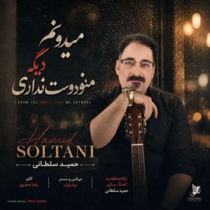 دانلود آهنگ میدونم دیگه منو دوست نداری حمید سلطانی