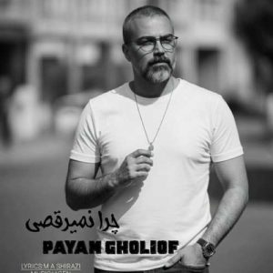 دانلود آهنگ چرا نمیرقصی؟ پیام قلی اف