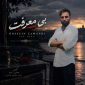 دانلود آهنگ بی معرفت حسین زمندی