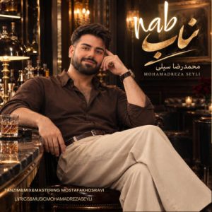 دانلود آهنگ ناب محمدرضا سیلی