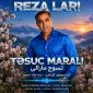 دانلود آهنگ تسوج مارالی رضا لاری